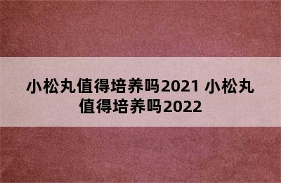 小松丸值得培养吗2021 小松丸值得培养吗2022